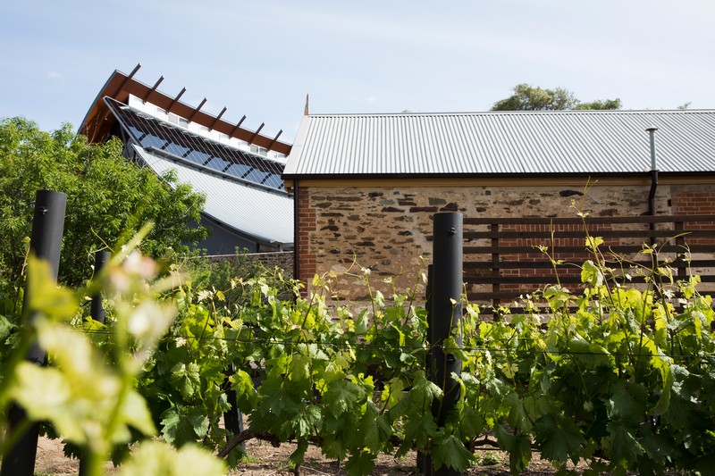 National wine centre from onsite vineyard